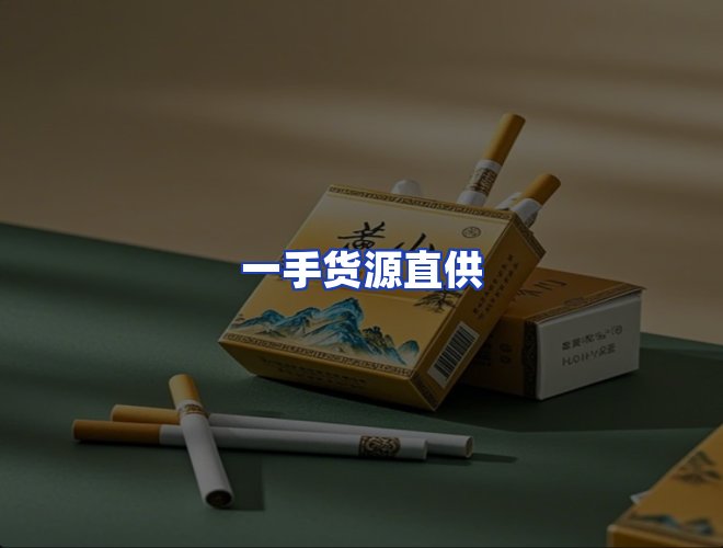 专业团队